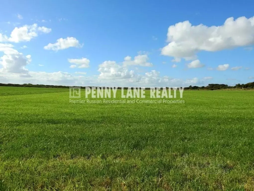 Участок в Московская область, Домодедово городской округ, д. Калачево, ... - Фото 1