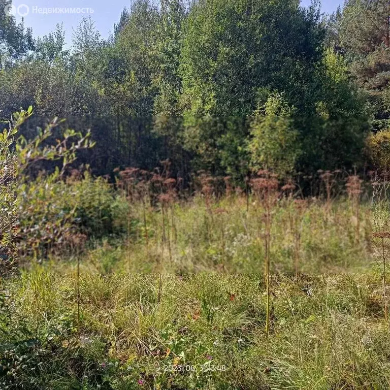 Участок в Тосно, товарищество собственников недвижимости Речное (11 м) - Фото 1