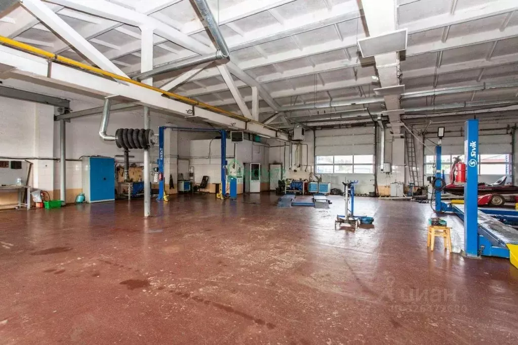 Помещение свободного назначения в Тюменская область, Тобольск БСИ-2 ... - Фото 2