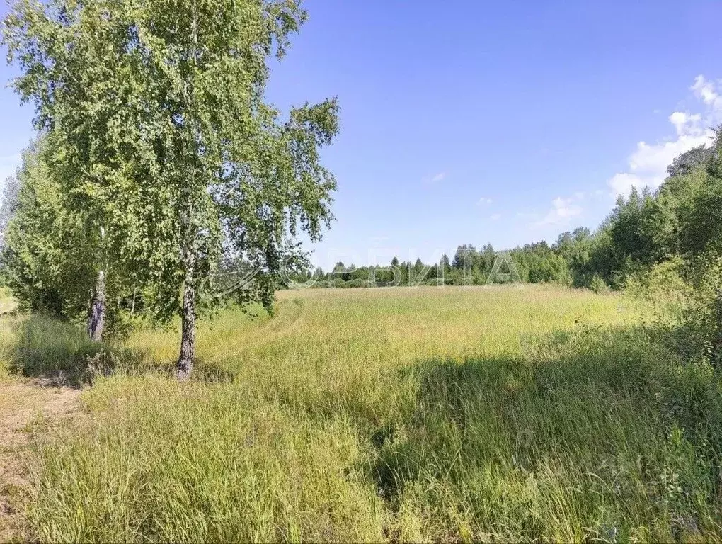 Участок в Тюменская область, Тюменский муниципальный округ, д. ... - Фото 2