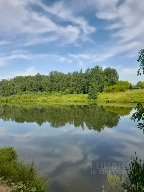 Дом в Нижегородская область, Нижний Новгород с. Новые Ключищи, ул. ... - Фото 1