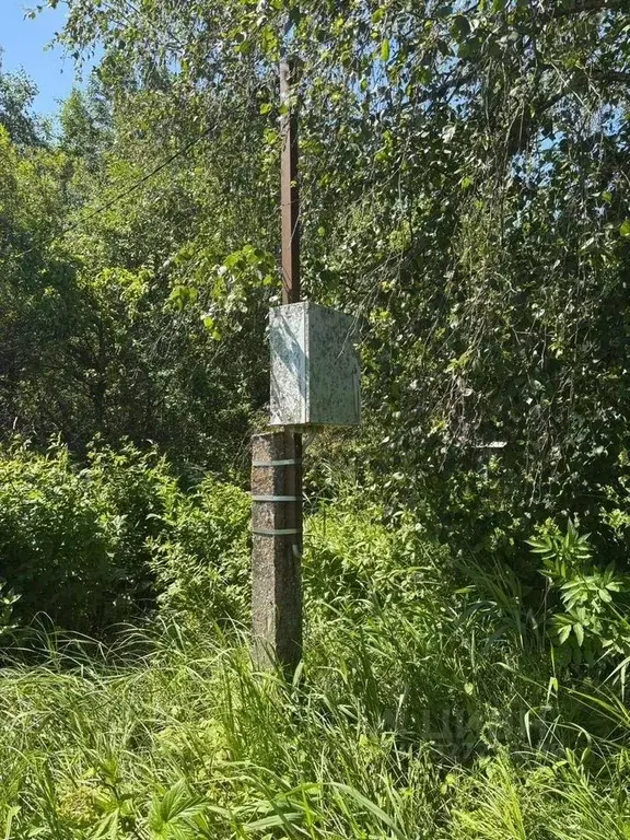 Участок в Ленинградская область, Кингисеппский район, Ивангородское ... - Фото 2