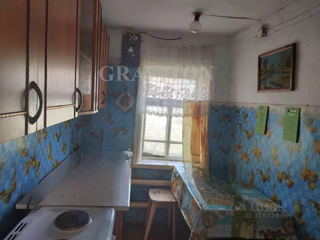 Дом в Алтай, Майминский район, с. Кызыл-Озек Советская ул. (36 м) - Фото 1