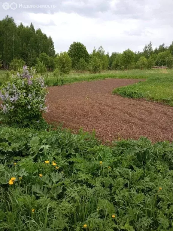 Участок в Воткинский район, деревня Ледухи, Логовая улица, 7 (361 м) - Фото 0