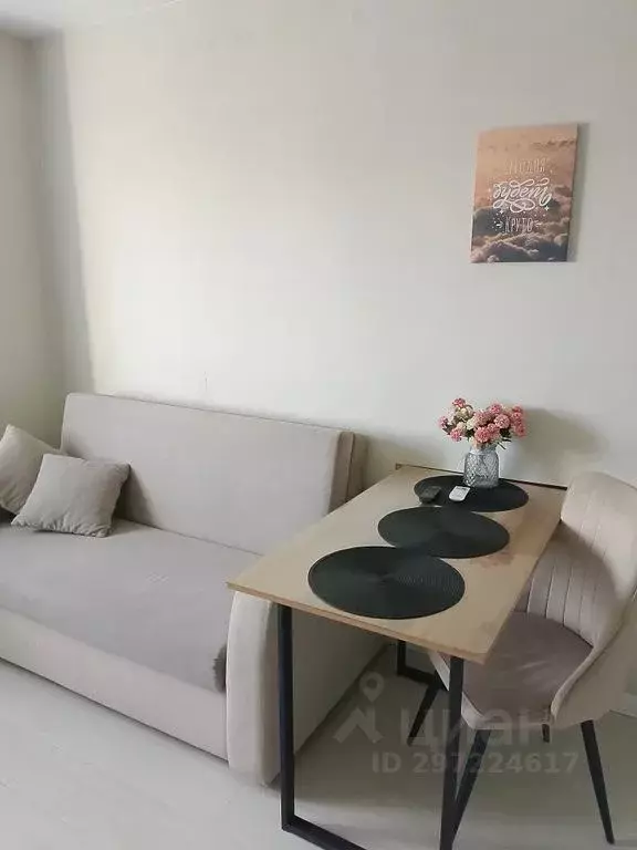 Студия Забайкальский край, Чита Девичья Сопка мкр, 45 (20.0 м) - Фото 2