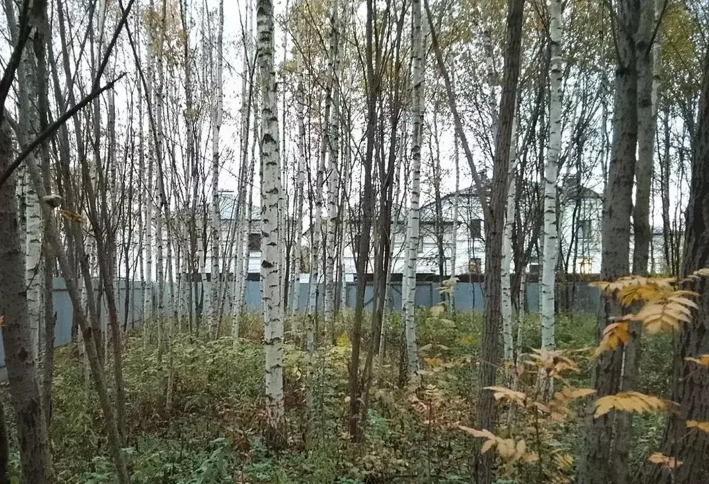 Участок в Московская область, Одинцовский городской округ, с. ... - Фото 1