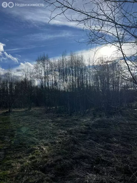 Участок в Калужская область, Малоярославецкий муниципальный округ, ... - Фото 2