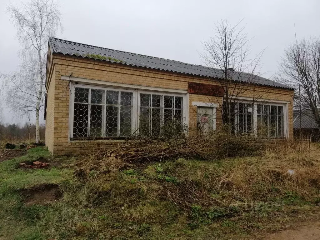 Дом в Новгородская область, Мошенской район, д. Бор  (66 м) - Фото 0