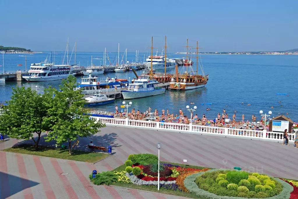 Студия Краснодарский край, Геленджик ул. Витебская, 12к6/1 (34.0 м) - Фото 2