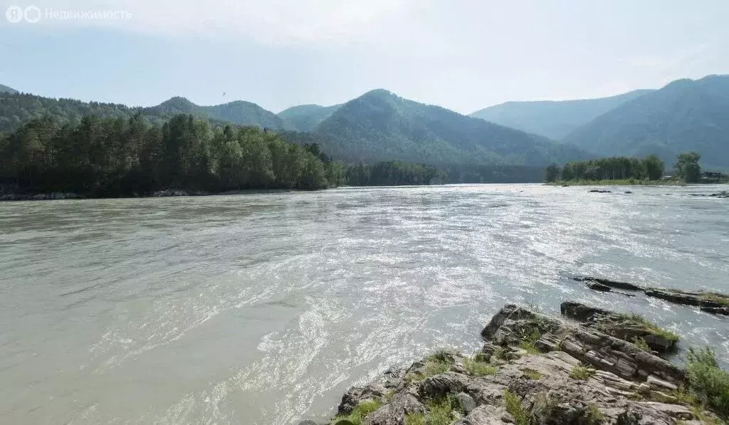 Участок в село Усть-Муны, улица Кошурникова (15 м) - Фото 0
