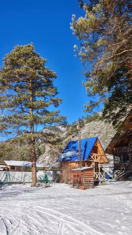 Коттедж в Алтай, Чемальский район, Узнезинское с/пос, с. Узнезя ул. ... - Фото 2