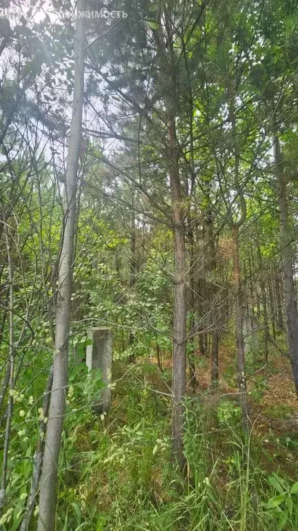 Участок в Новокузнецк, улица Шахтёрской Славы (15 м) - Фото 1
