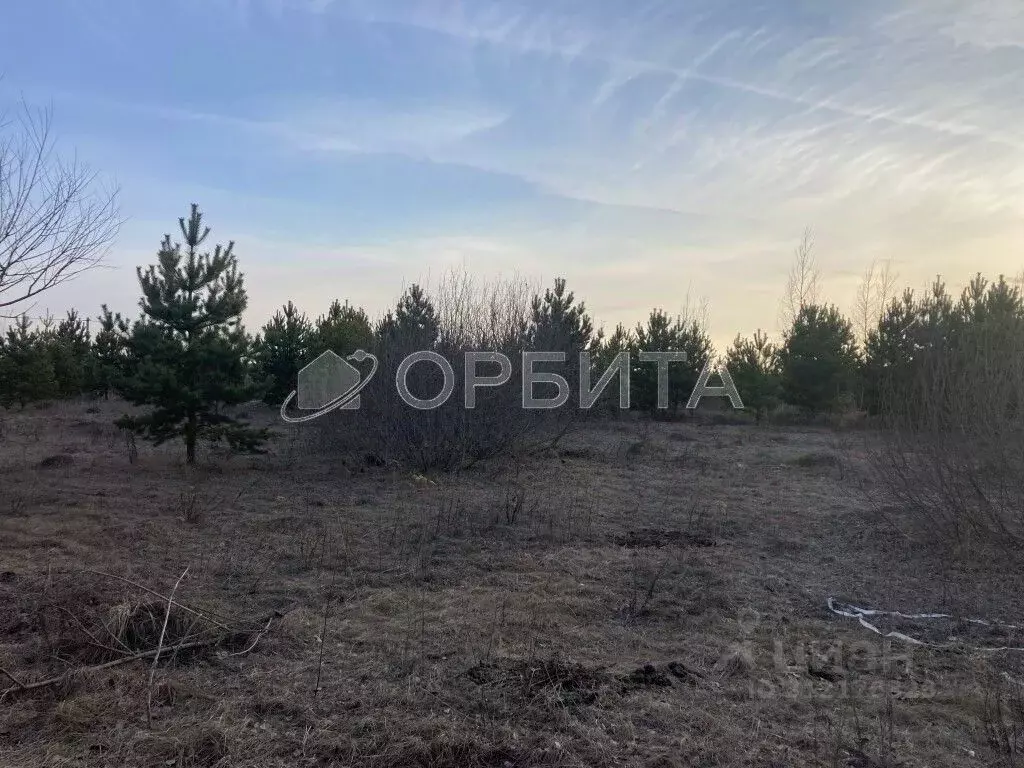 Участок в Тюменская область, Тюменский район, д. Коняшина  (14.7 сот.) - Фото 1