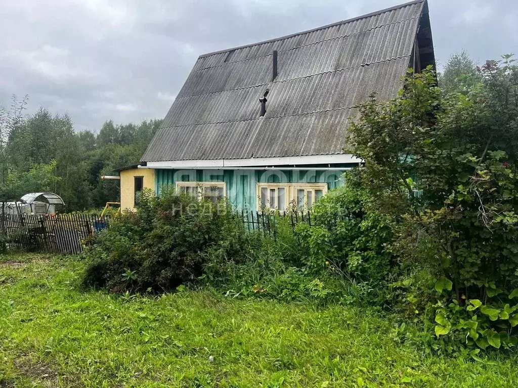 Дом в Пермский край, Березники муниципальное образование, д. Кокшарово ... - Фото 1