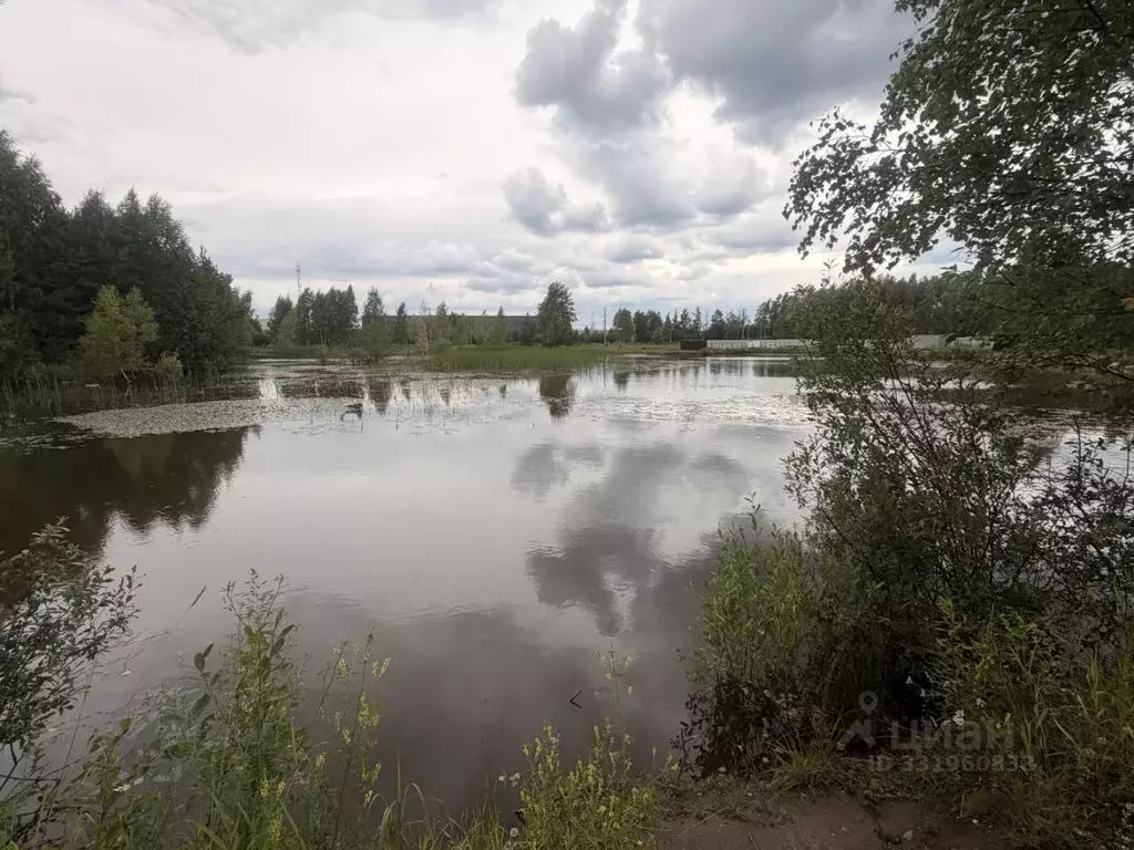 Участок в Московская область, Раменское Дергаево-2 кп,  (19.0 сот.) - Фото 1