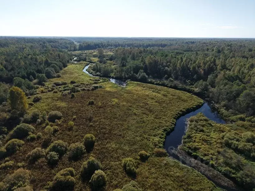 Участок в Тверская область, Калининский муниципальный округ, д. ... - Фото 2