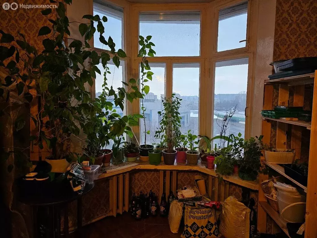 3-комнатная квартира: Санкт-Петербург, Наличная улица, 15 (91.5 м) - Фото 1