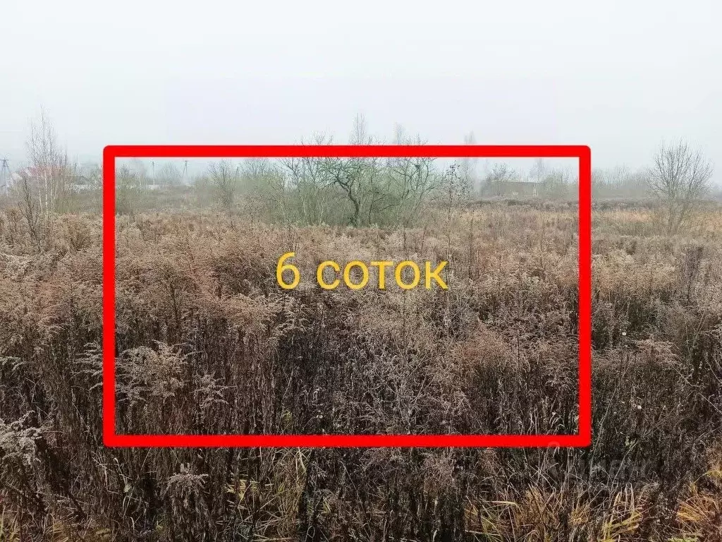 Участок в Брянская область, Брянский район, Добрунское с/пос, БЭМЗ СДТ ... - Фото 1
