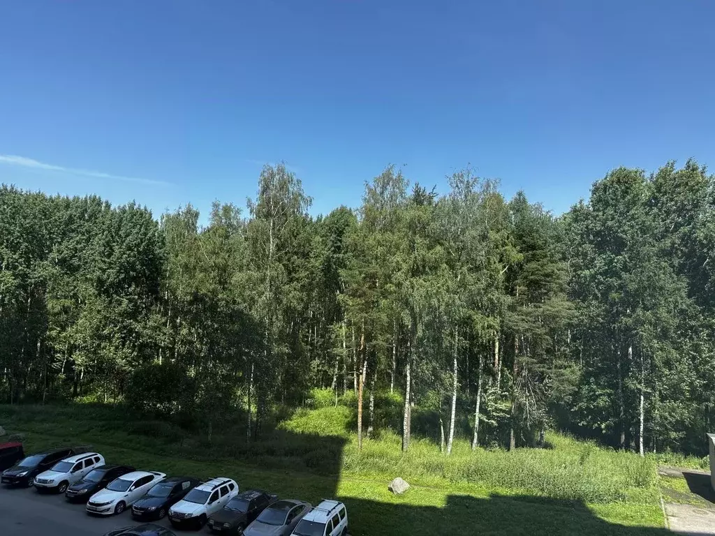 1-к кв. Санкт-Петербург просп. Авиаконструкторов, 49 (46.4 м) - Фото 2