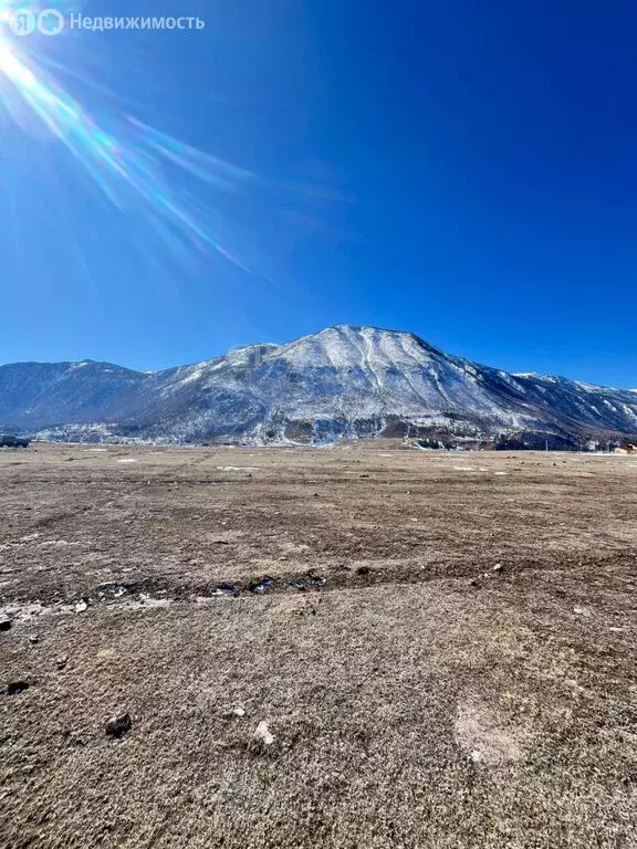 Участок в Улаганский район, село Чибит (12 м) - Фото 1