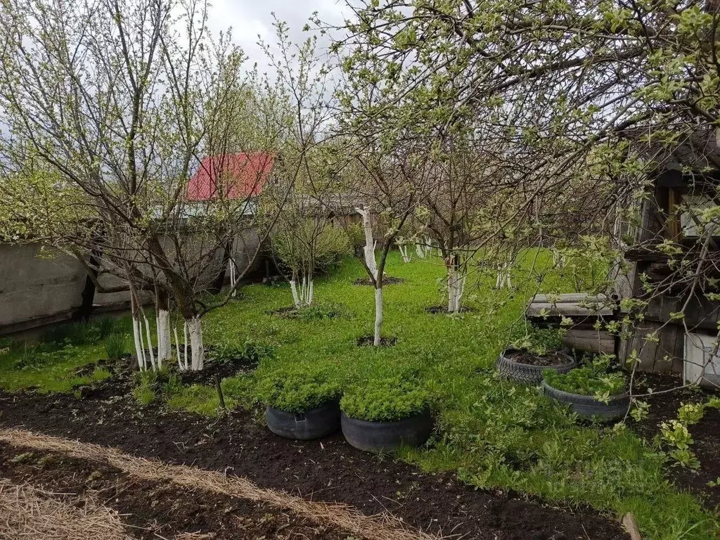 Дом в Нижегородская область, Шахунья ул. Комарова, 11 (60 м) - Фото 1