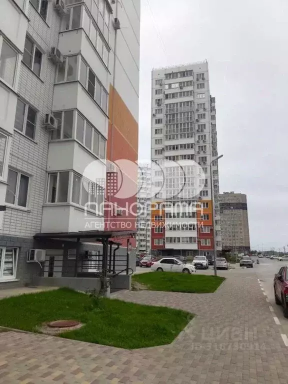 Помещение свободного назначения в Краснодарский край, Анапа ул. ... - Фото 1