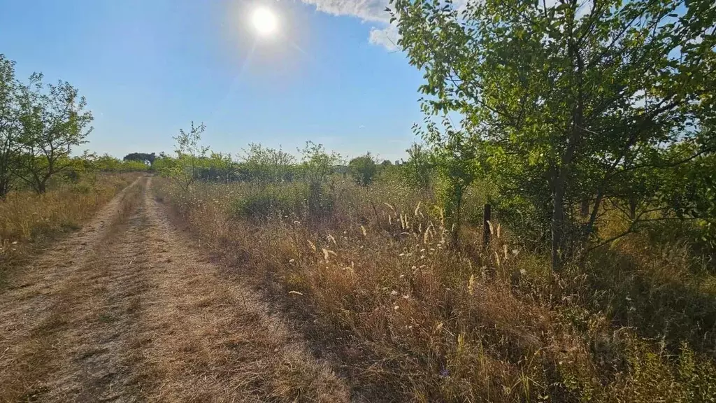 Участок в Адыгея, Тахтамукайский район, Козет аул, Яблонька СТ ул. ... - Фото 0