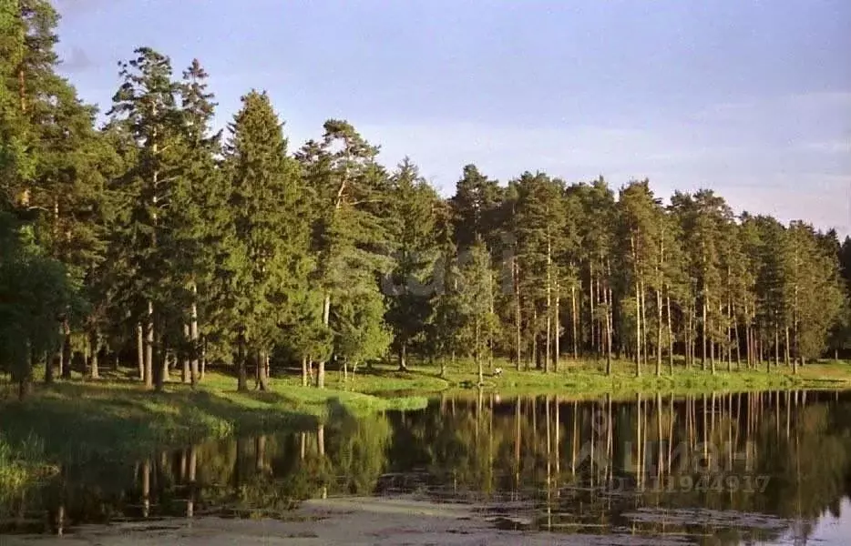 Участок в Московская область, Одинцовский городской округ, д. Щедрино ... - Фото 0