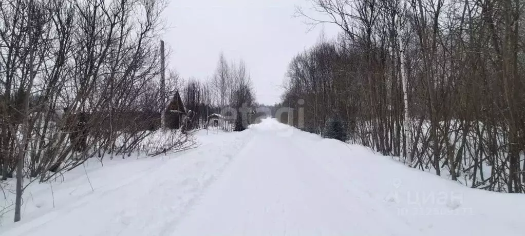 Участок в Томская область, Томск пос. Родионово, ул. Возрождения (15.1 ... - Фото 0