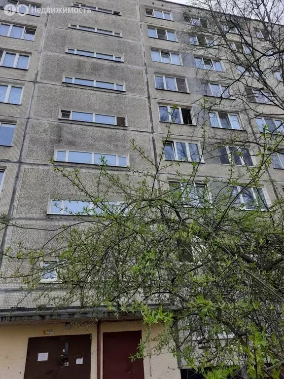 1-комнатная квартира: Санкт-Петербург, Белградская улица, 6к2 (29 м) - Фото 0
