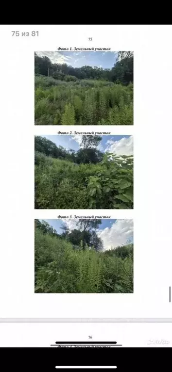 Торговая площадь в Краснодарский край, Сочи городской округ, с. ... - Фото 2