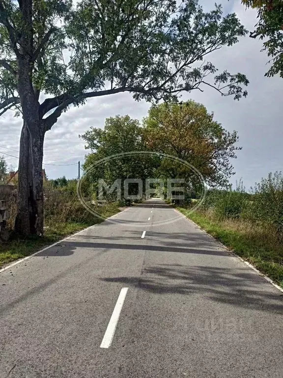 Участок в Калининградская область, Гурьевский муниципальный округ, ... - Фото 0