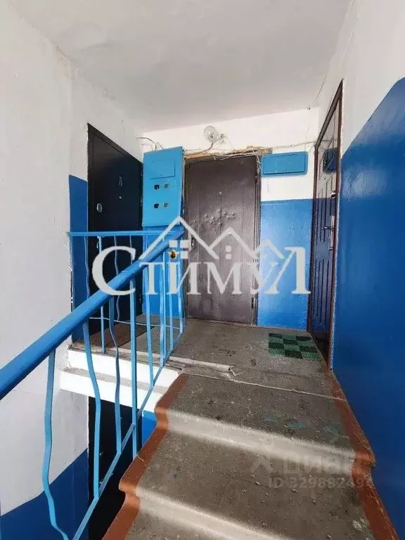 1-к кв. Хакасия, Сорск Усть-Абаканский район, ул. Кирова, 24 (29.8 м) - Фото 2