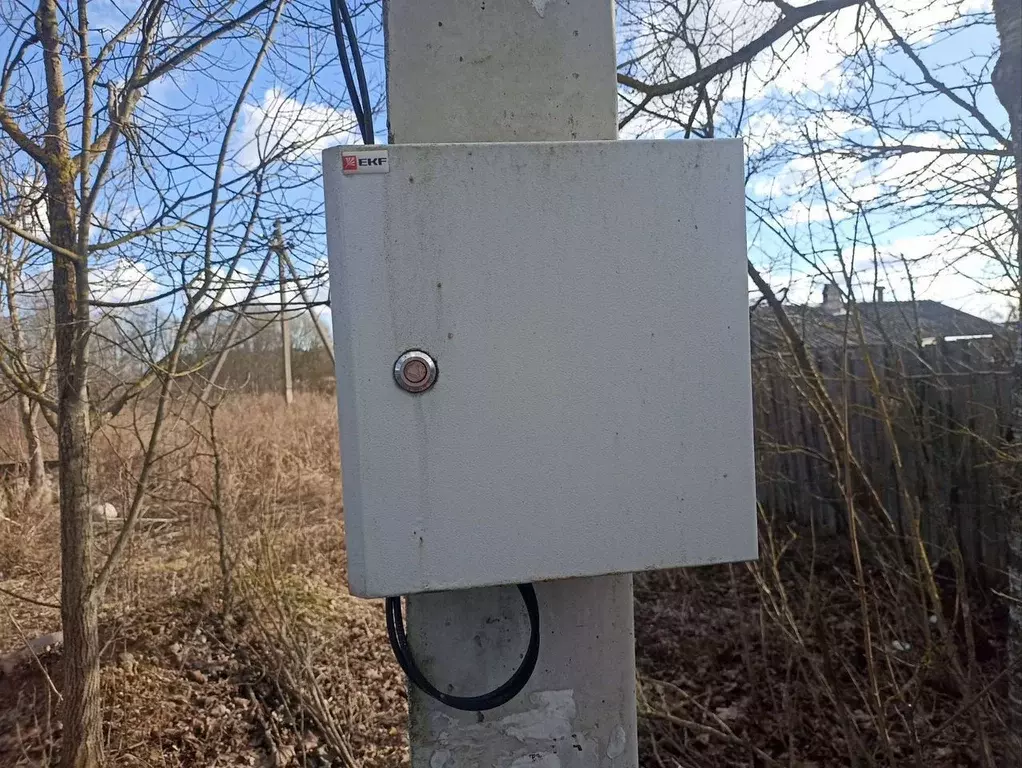 Участок в Ленинградская область, Лужский район, Заклинское с/пос, д. ... - Фото 1