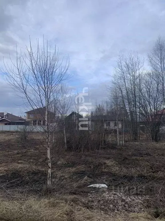 Участок в Нижегородская область, Бор ул. Ворожейкина, 116 (10.0 сот.) - Фото 1