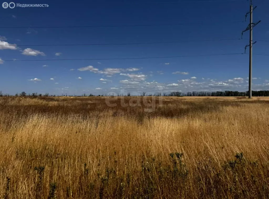 Участок в Симферопольский район, Николаевское сельское поселение, село ... - Фото 1