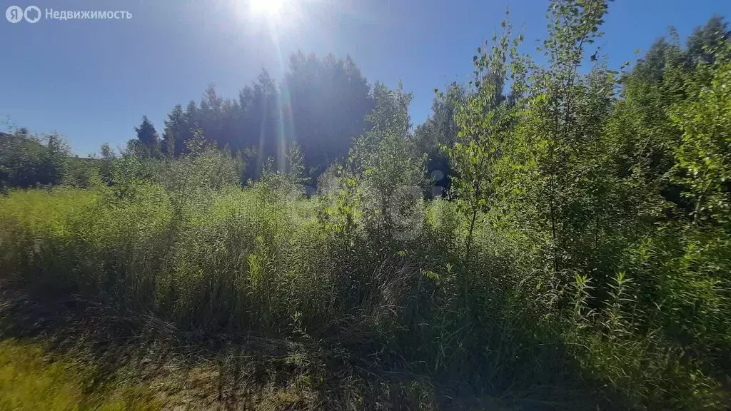 Участок в Луговое, Нивенская улица (9.5 м) - Фото 0