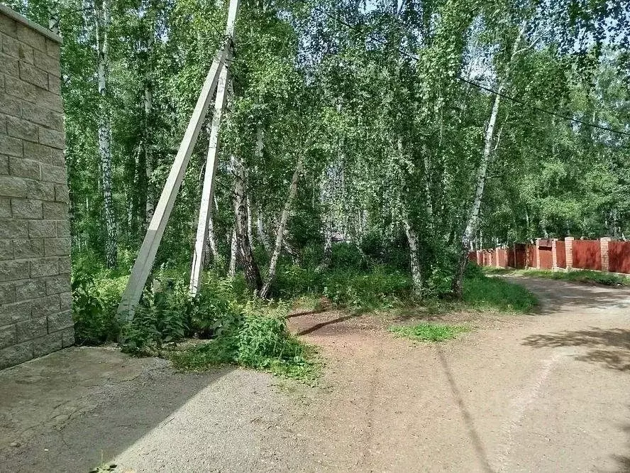 Участок в Башкортостан, Абзелиловский район, Ташбулатовский сельсовет, ... - Фото 2