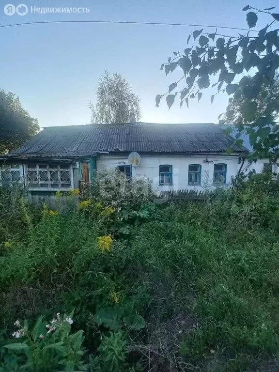 Дом в Щёкинский район, муниципальное образование Ломинцевское, село ... - Фото 0