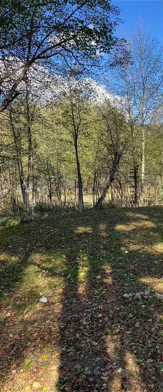 Участок 50 сот. (СНТ, ДНП) - Фото 1