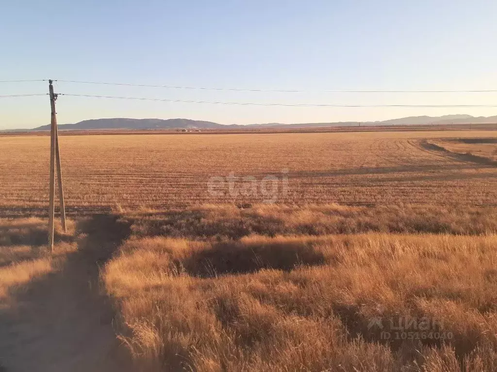 Участок в Крым, Советский район, с. Красногвардейское  (181.3 сот.) - Фото 0