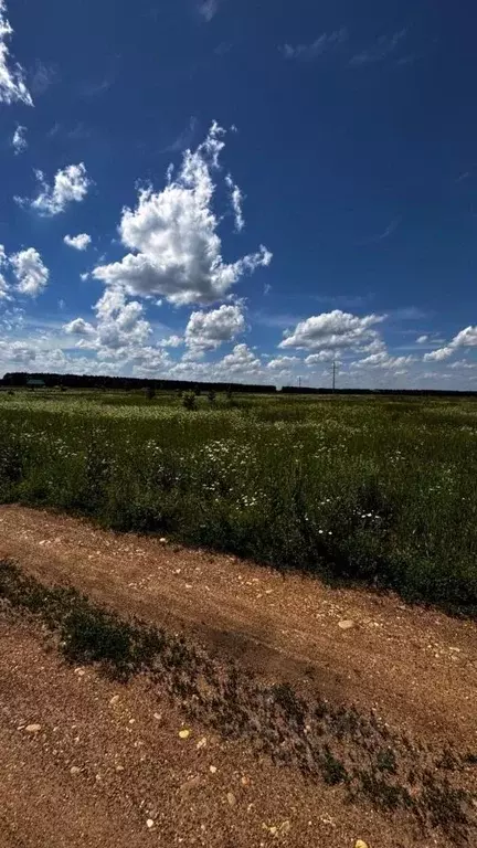 Участок в Башкортостан, с. Архангельское ул. Пушкина, 22 (17.0 сот.) - Фото 2