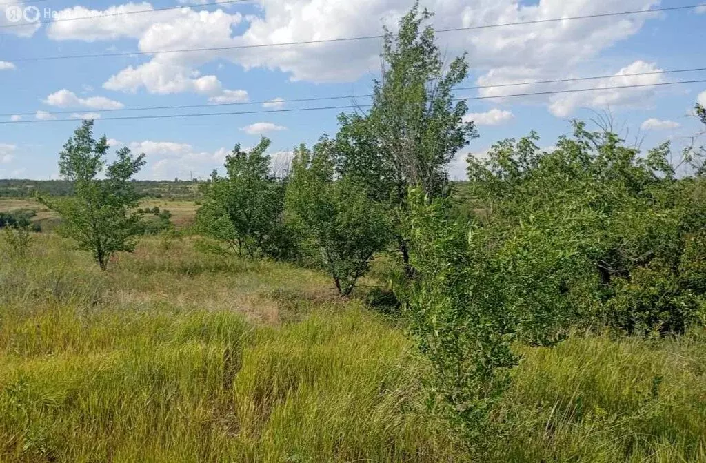 Участок в Волгоград, посёлок Участок ВПЭЛС № 5, Каховская улица, 31 (8 ... - Фото 2