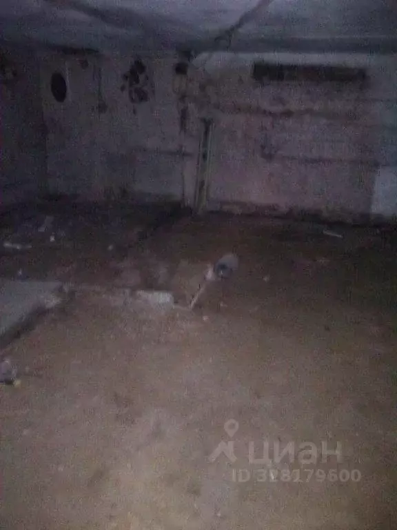 Помещение свободного назначения в Пермский край, Пермь Студенческая ... - Фото 1