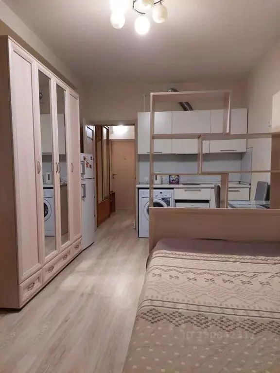 Студия Санкт-Петербург Пулковское ш., 14Е (25.0 м) - Фото 2
