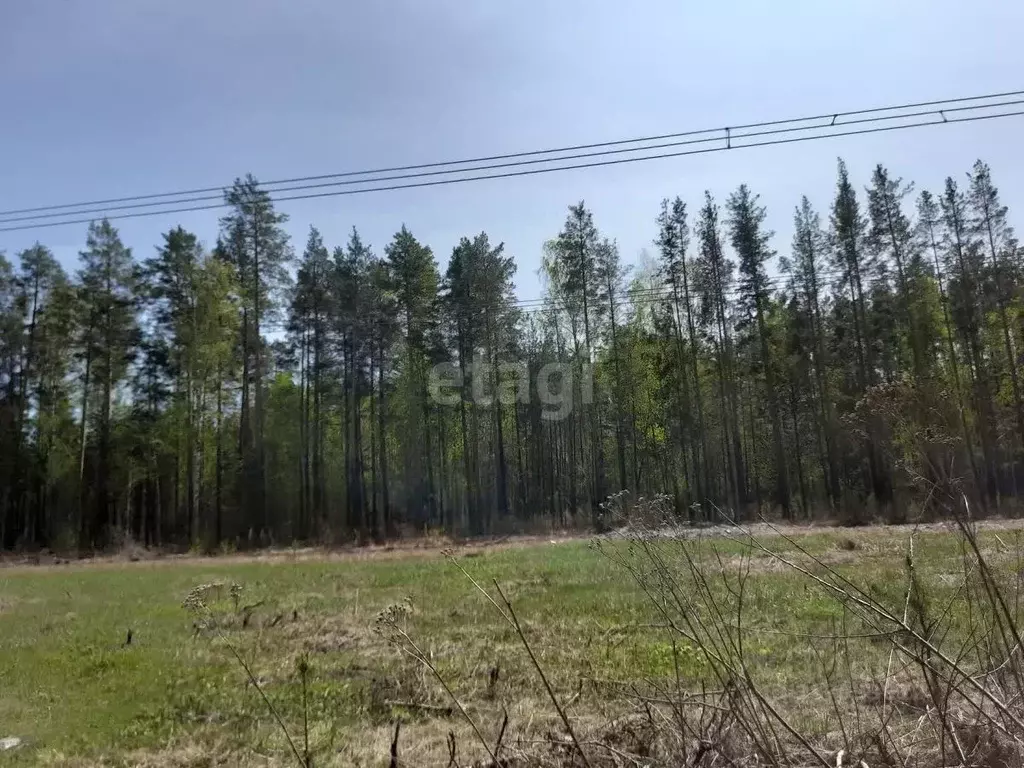 Участок в Свердловская область, Ревда муниципальный округ, с. ... - Фото 0