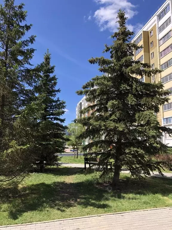 Студия Челябинская область, Челябинск ул. Хариса Юсупова, 117 (27.0 м) - Фото 2