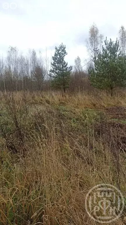 Участок в Заклинское сельское поселение, деревня Турово (20 м) - Фото 1