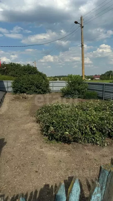 Дом в Воронежская область, Каширское с/пос, с. Бирюченское ул. ... - Фото 1