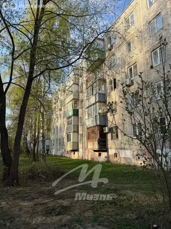 1-комнатная квартира: Электроугли, улица Маяковского, 40 (33.6 м) - Фото 2